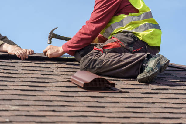 Best Roof Maintenance Services  in Dousman, WI
