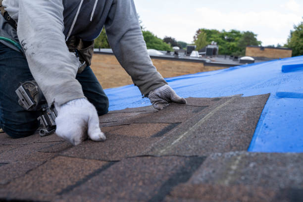 Best Residential Roofing Contractor  in Dousman, WI