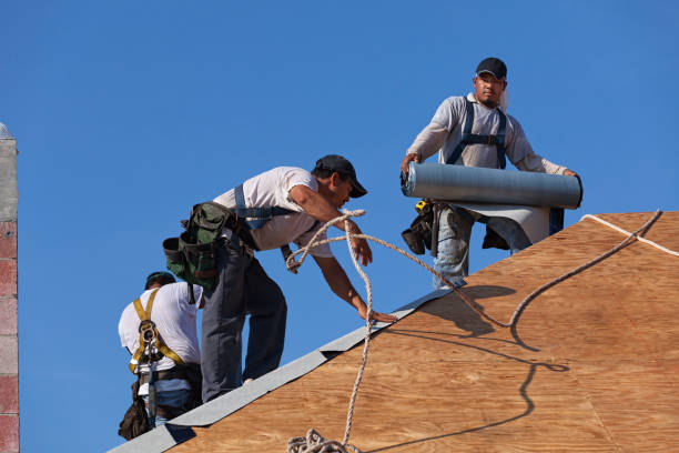 Best Roofing Contractors for Homes  in Dousman, WI