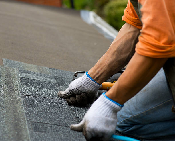 Professional Roofing Contractor in Dousman, WI